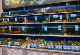 夢見魚店的 9 個夢境解釋：夢見在魚店工作、夢見在魚店猶豫魚類