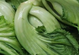 14 個酸菜解夢含義：夢見吃酸菜、夢見酸菜突然出現