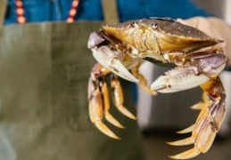 夢見大螃蟹的 9 個夢境解釋：夢見大螃蟹換殼、夢見一隻死的大螃蟹