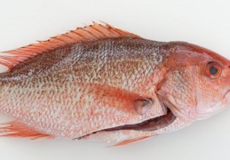 夢見鯛魚刺身：6 個意義和象徵