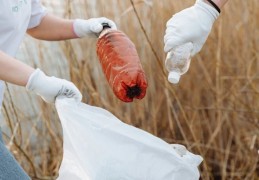 夢見撿垃圾：9 個意義和象徵