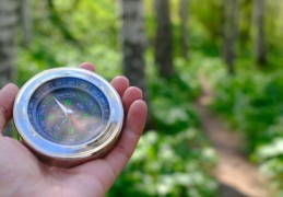 夢見尋找事物是什麼意思？意義和象徵、情境解讀
