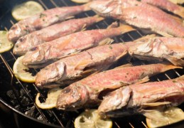 夢見烤魚的 9 個夢境解釋：夢見魚逃跑 、夢見收到一份魚的禮物