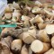 夢見竹筍的 17 個夢境解釋：夢見腐爛竹筍、夢見種竹筍、夢見摘竹筍