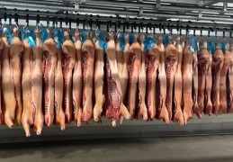 夢見屍體的 25 個夢境解釋：夢見屍體堆積如山、夢見吃屍體