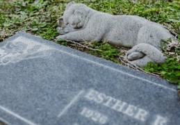 夢見殺死親密朋友的 9 個夢境解釋：夢見和親密朋友出走、夢見與親密朋友和解