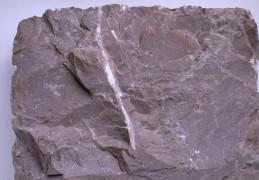 夢見岩石的 10 個夢境解釋：夢見被石頭壓碎、夢見敲碎石頭