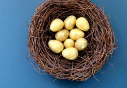 夢見蜥蜴蛋：8 個意義和象徵