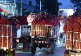 夢見黎明：9 個意義和象徵