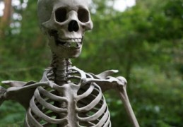 夢見殺死不認識的人的 8 個夢境解釋：夢見不認識的人攻擊你並殺死你、夢見不小心殺死了不認識的人
