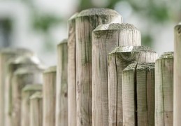 夢見攀爬圍欄：9 個意義和象徵