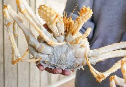 夢見抓螃蟹的 9 個夢境解釋：夢見和別人一起抓螃蟹 、夢見螃蟹孵蛋