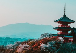 夢見在寺廟吃飯的 20 個夢境解釋：夢見在寺廟裡偷偷吃米飯、夢見假裝在寺廟裡吃飯