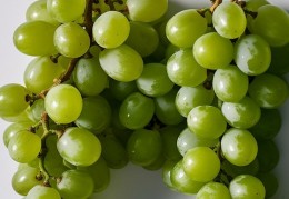11 個綠色葡萄解夢含義：夢見吃腐爛綠色葡萄、夢見購買綠色葡萄