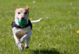 夢見臨時取消 ：7 個意義和象徵