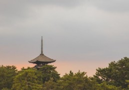 夢見一座塔的 20 個夢境解釋：夢見害怕塔、夢見在塔頂迷路