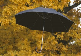 夢見雨傘預兆著什麼？夢境解釋和幸運數位