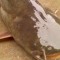 夢見鯰魚的 17 個夢境解釋：夢見放生鯰魚、夢見鯰魚飛翔