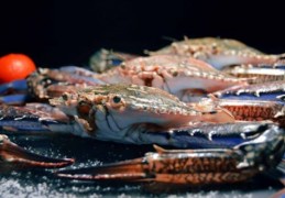 夢見購買花蟹的 9 個夢境解釋：夢見螃蟹闖入你家、夢見死蟹