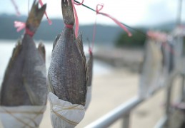 夢見鱈魚預兆著什麼？夢境解釋和幸運數位