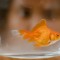 夢見魚缸裡的金魚的 9 個夢境解釋：夢見魚缸裡的混濁水、夢見金魚看著你