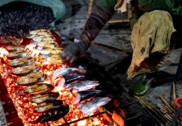 夢見吃魚的 9 個夢境解釋：夢見腐爛的魚、夢見煮魚