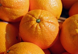 夢見摘别人家橘子是什麼意思？夢境預示什麼