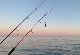 夢見釣魚：55種夢及其解釋