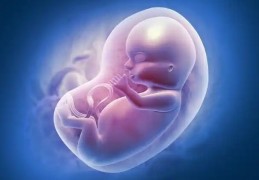 16 個墮胎解夢含義：夢見拒絕墮胎、夢見墮胎後生病、夢見墮胎並被指責