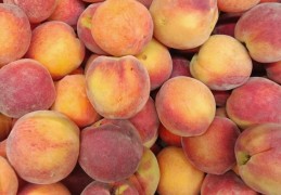 夢見桃子的 9 個夢境解釋：夢見桃子墜落、夢見一棵桃樹