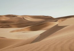 夢見蛇襲擊 ：15種場景與解釋