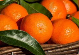 夢見橘子是什麼意思？夢境預示什麼