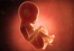 夢見胎兒是什麼意思？夢境預示什麼