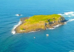 夢見荒島的 9 個夢境解釋：夢見荒島上的火災、夢見被從荒島救出