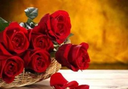 夢見紅玫瑰是什麼意思？這個夢境預示什麼