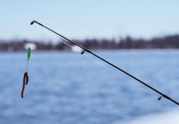 夢見釣魚竿預兆著什麼？夢境解釋和幸運數位