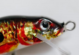 夢見金魚死亡的 9 個夢境解釋：夢見手中握著一條金魚 、夢見金魚繁殖