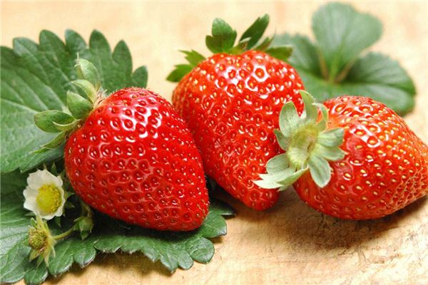 夢見草莓是什麼意思？夢境預示什麼
