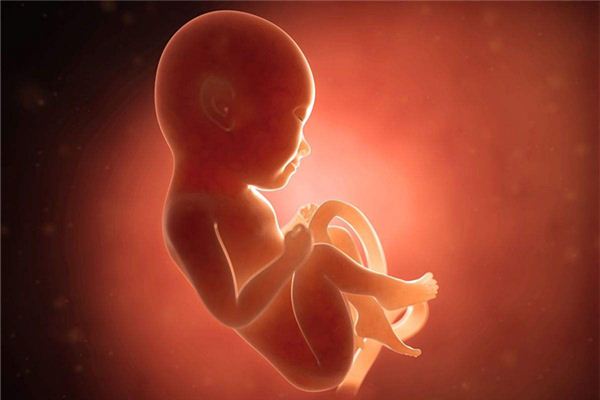 夢見胎兒是什麼意思？夢境預示什麼