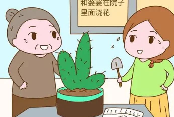 夢見婆婆是什麼意思？夢境預示什麼