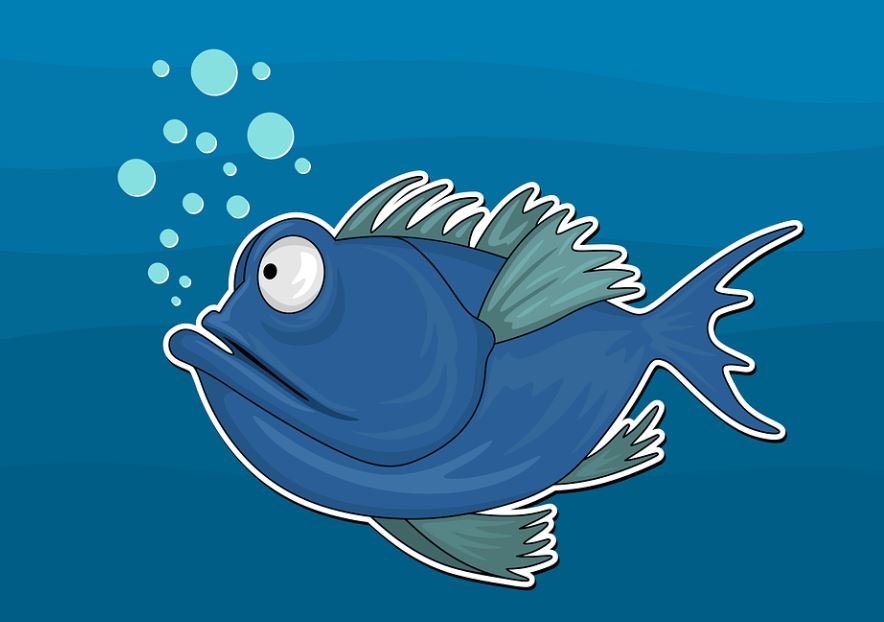 夢見青魚的 7 個夢境解釋：夢見青魚追你、夢見養一條青魚