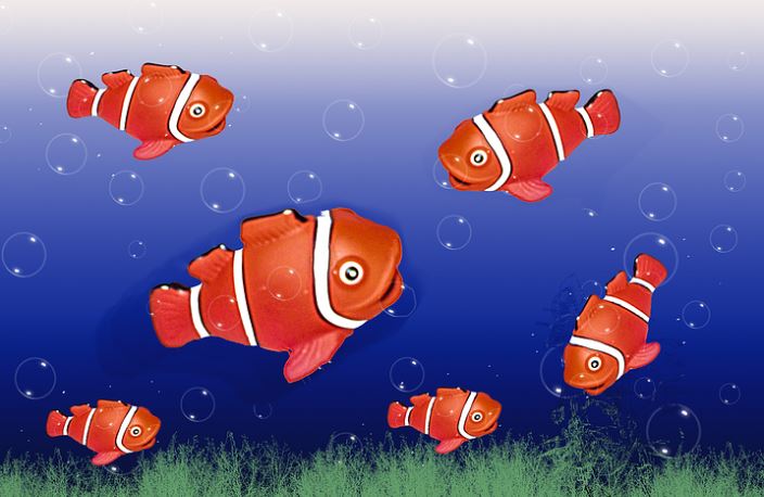 夢見紅魚的 8 個夢境解釋：夢見釣到紅魚、夢見紅魚游泳