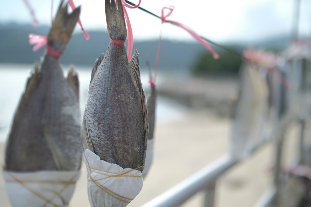 夢見鱈魚預兆著什麼？夢境解釋和幸運數位