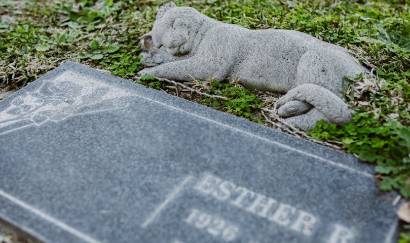 夢見殺死親密朋友的 9 個夢境解釋：夢見和親密朋友出走、夢見與親密朋友和解