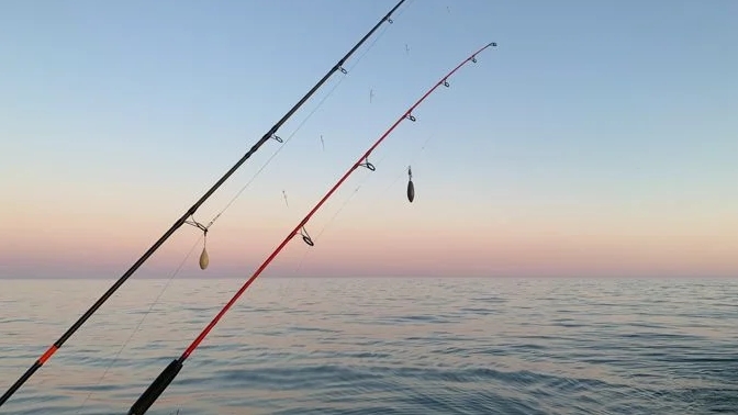 夢見釣魚：55種夢及其解釋