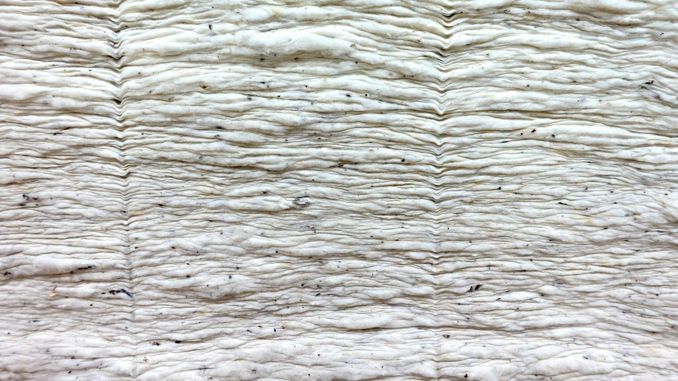 夢見棉花:40種場景與解釋 夢見棉花:40種場景與解釋