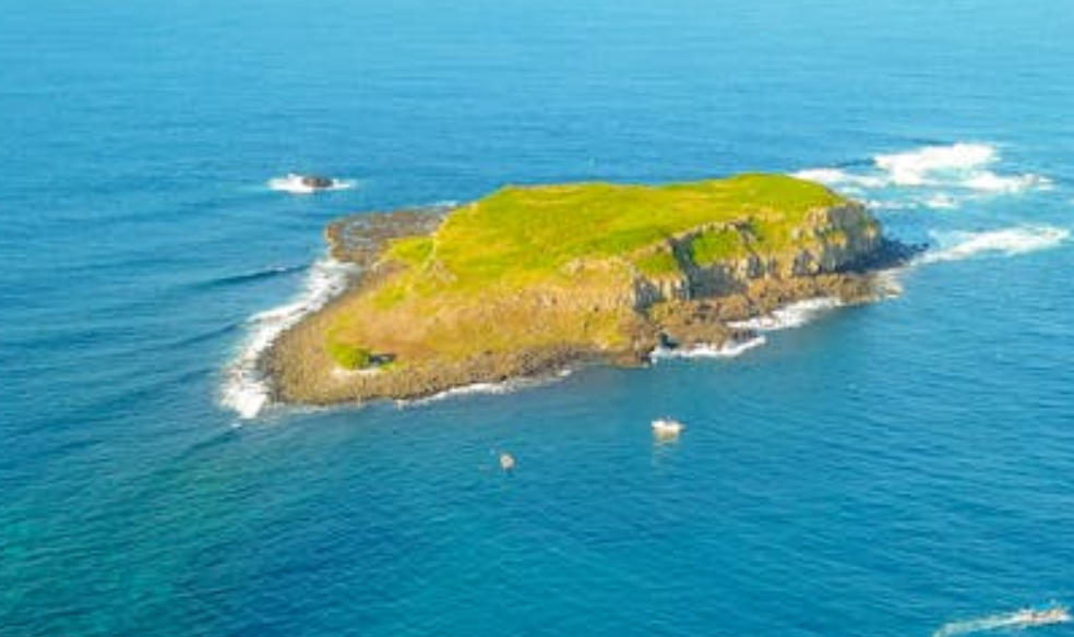 夢見荒島的 9 個夢境解釋：夢見荒島上的火災、夢見被從荒島救出