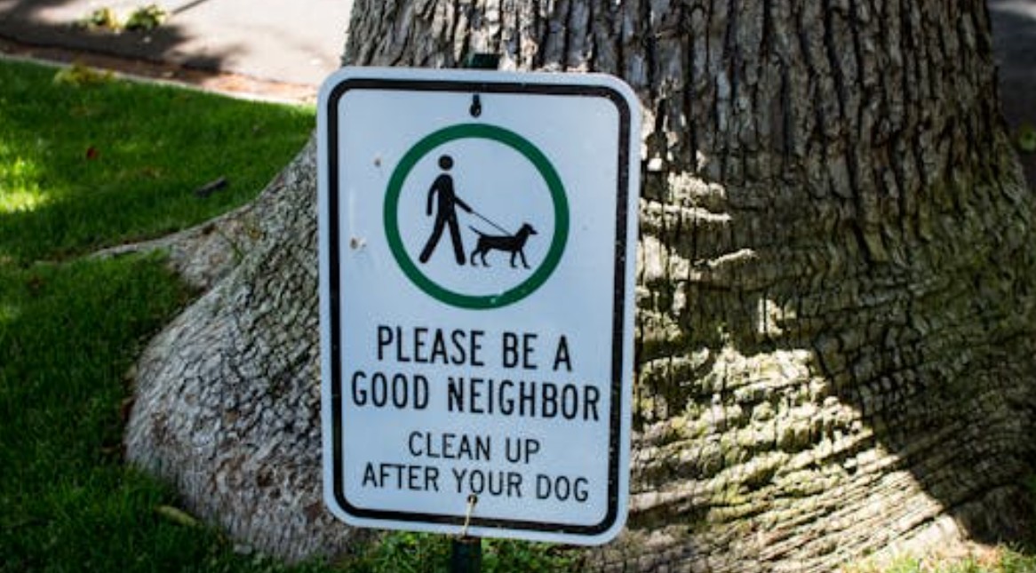 夢見上面有大便的 9 個夢境解釋：夢見丟棄大便、夢見馬桶裡的大便