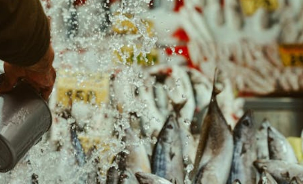 夢見抓到魚的 9 個夢境解釋：夢見魚兒蠕動 、夢見死魚