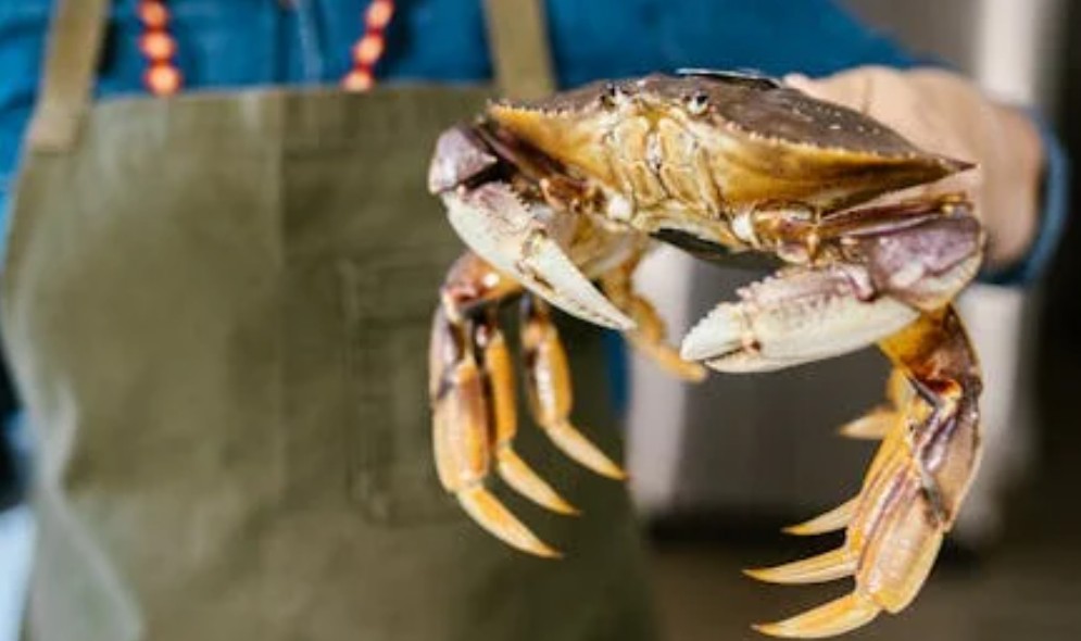 夢見大螃蟹的 9 個夢境解釋：夢見大螃蟹換殼、夢見一隻死的大螃蟹